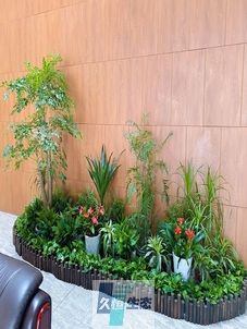 鼓楼企业大厅绿植组合摆放
